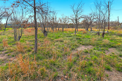 1304 Shady Forest Dr — photo 5