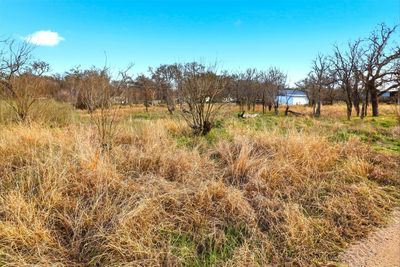1304 Shady Forest Dr — photo 3