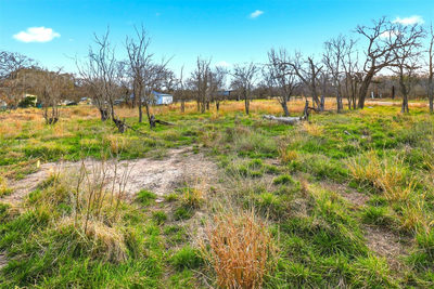 1304 Shady Forest Dr — photo 4