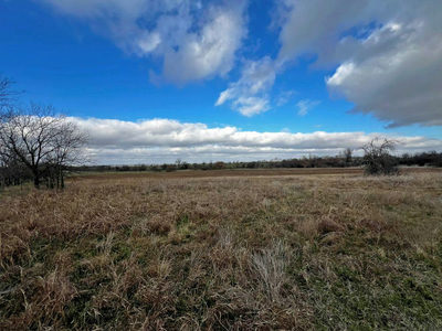 TBD County Road 196 — photo 4