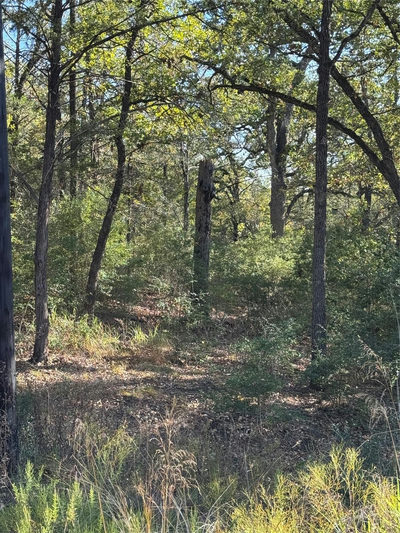 Lot 130 Wailupe Cir — photo 3
