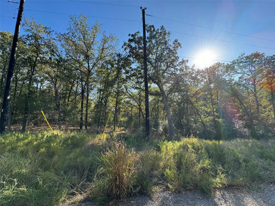 Lot 130 Wailupe Cir — photo 5