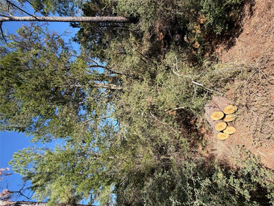 Lot 320 Keneka Ln — photo 2