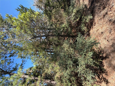 Lot 320 Keneka Ln — photo 4