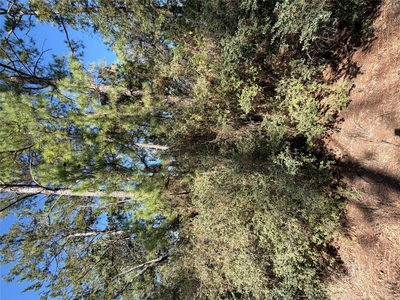 Lot 320 Keneka Ln — photo 3
