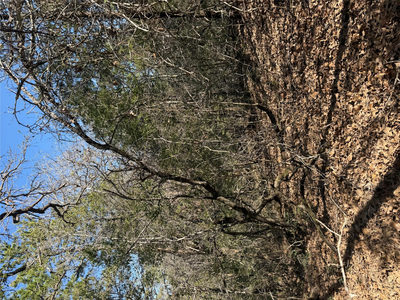 Lot 321 Keneka Ln — photo 4