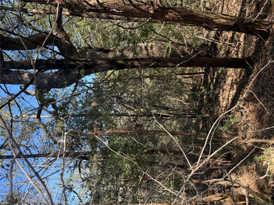 Lot 321 Keneka Ln — photo 3