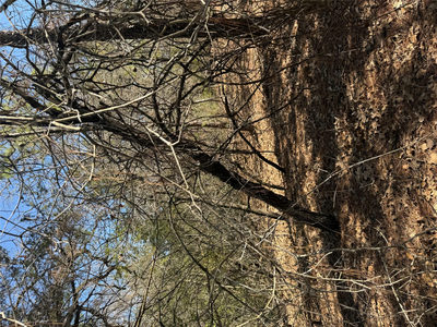 Lot 321 Keneka Ln — photo 2