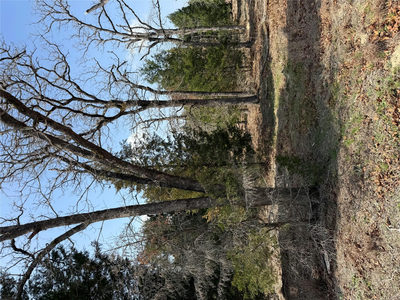 TBD N County Line Rd — photo 3
