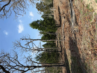 TBD N County Line Rd — photo 5