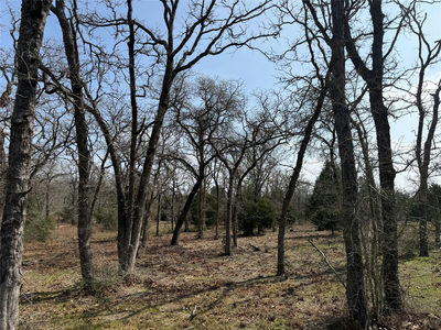 TBD N County Line Rd — photo 2