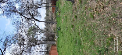 1110 Sherwood Forest Dr — photo 4