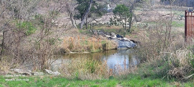1110 Sherwood Forest Dr — photo 5