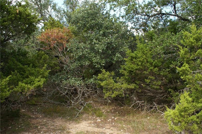Lot 31 Panorama Dr — photo 3