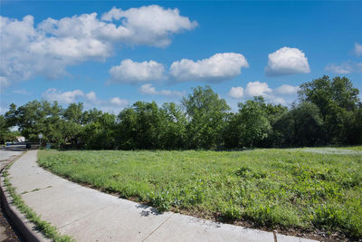 504 Prize Oaks Dr — photo 4