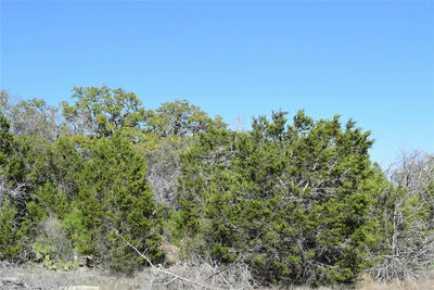 TBD Cheyenne Trl — photo 4