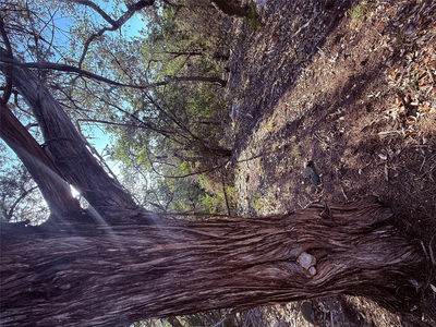 3600 Stagecoach Ranch Loop — photo 3