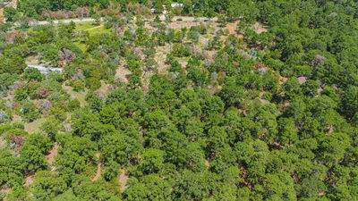 000 Pine Valley Loop — photo 5