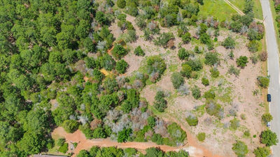 000 Pine Valley Loop — photo 4