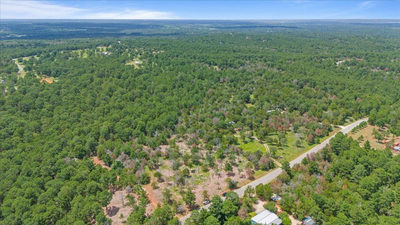 000 Pine Valley Loop — photo 3