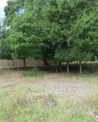47 E El Camino Real St — photo 2