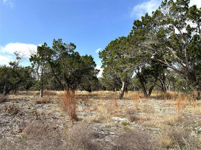 Tract 7 Burnet Oaks — photo 5