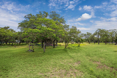 742 Park Shrs — photo 2