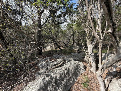 000 Saddle Back LOT K15032 — photo 3