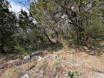 000 Saddle Back LOT K15031 — photo 2