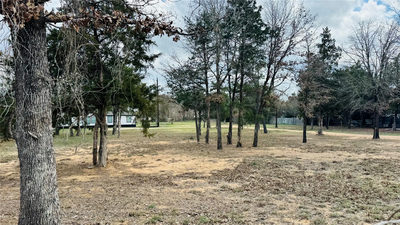 557 FM 2336 — photo 4