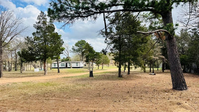 557 FM 2336 — photo 2