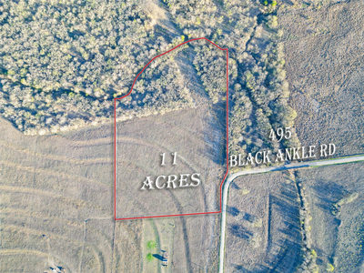 495 Black Ankle Rd — photo 4