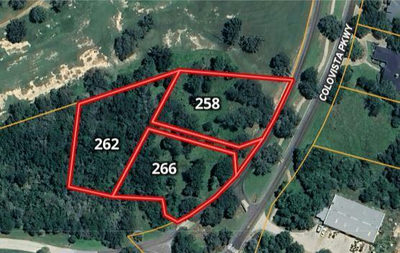 266 Colovista Pkwy — photo 3