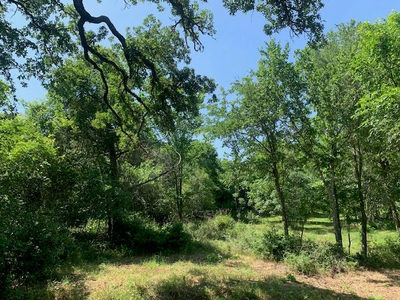 266 Colovista Pkwy — photo 5