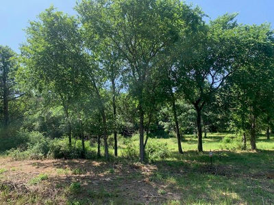 266 Colovista Pkwy — photo 4