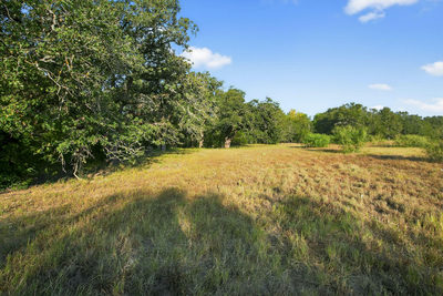 (TBD) 2959 FM 20 Hwy — photo 2