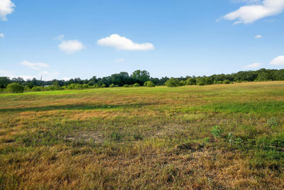 (TBD) 2959 FM 20 Hwy — photo 3