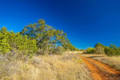 00 Quail Run Dr — photo 5