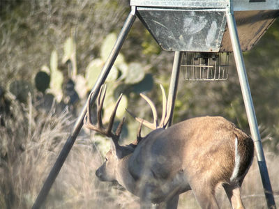 00 Quail Run Dr — photo 4