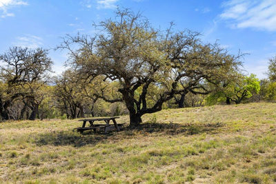 Lot 19 Stone Ridge Mountain Dr — photo 2