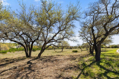 Lot 19 Stone Ridge Mountain Dr — photo 3