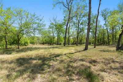 2711 Citation Dr — photo 2