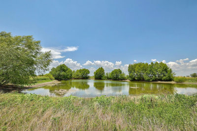 13212 Sandeen Rd — photo 3