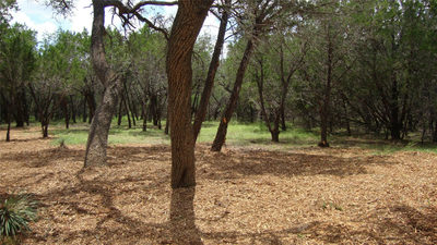 36 Travis Oaks Dr — photo 4