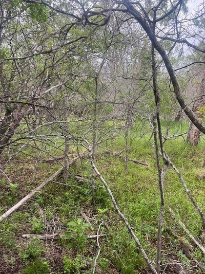 Lot 628 Hilea Ct — photo 5