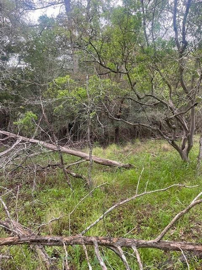 Lot 628 Hilea Ct — photo 4