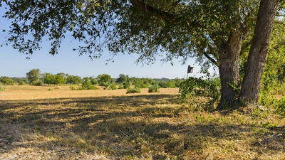 440 Chimney Valley Rd — photo 3