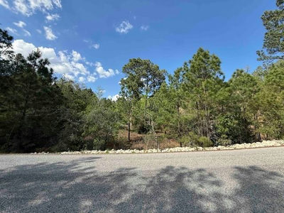Lot 1198 Wahane Ln — photo 3
