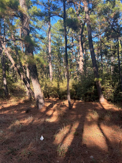 TBD Pine Lodge Dr — photo 2