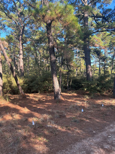 TBD Pine Lodge Dr — photo 4